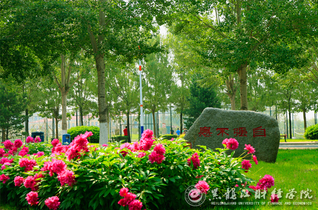 繁花似锦-黑龙江财经学院