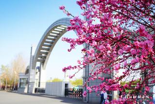 校园风光-黑龙江财经学院